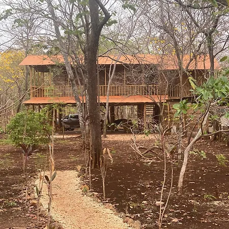 Finca Avellanas
