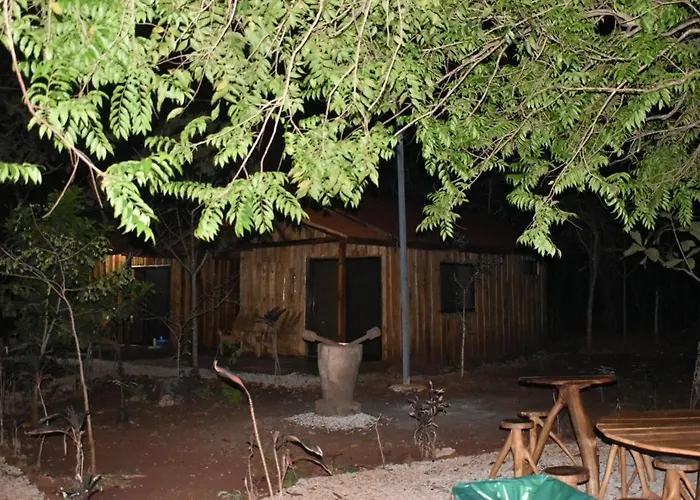 Avellanas Pinilla
