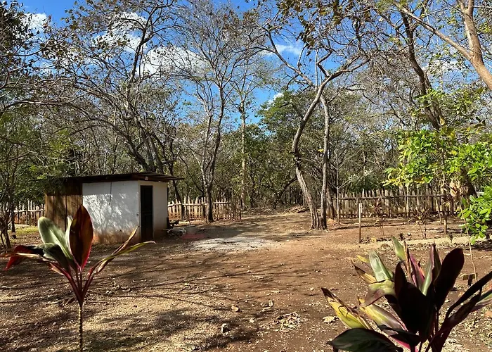 Avellanas Hotel