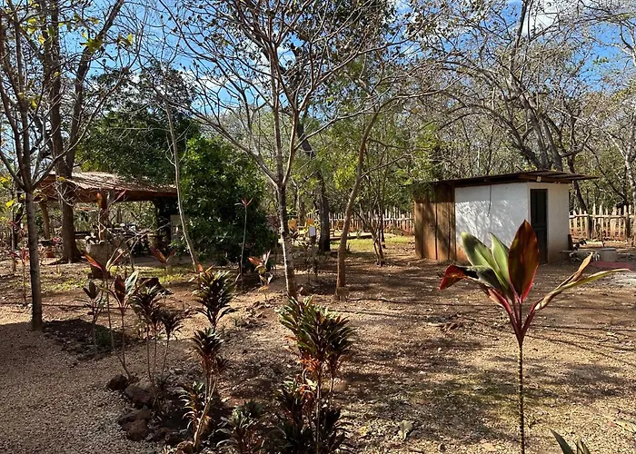 Avellanas Hotel Pinilla