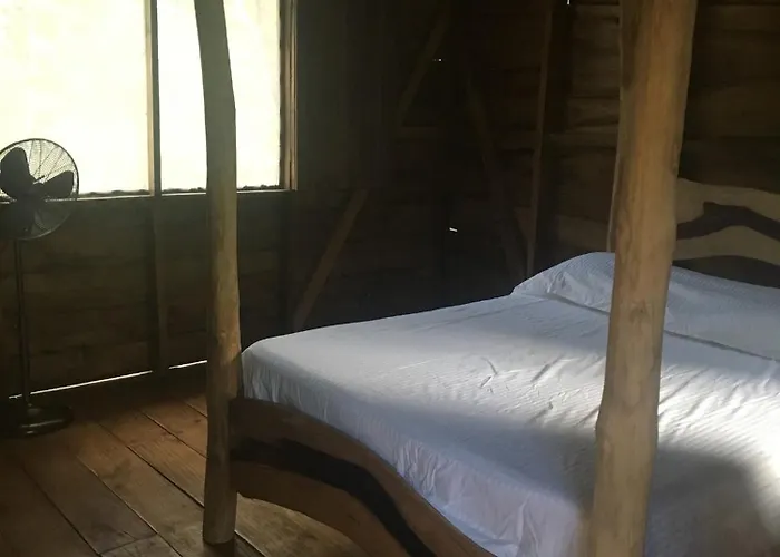 Avellanas Pinilla