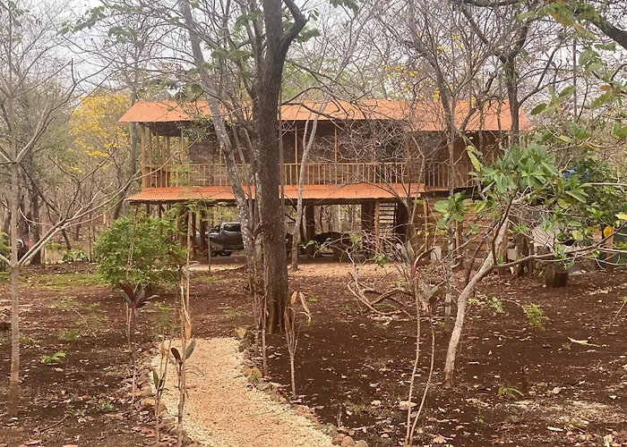 Avellanas