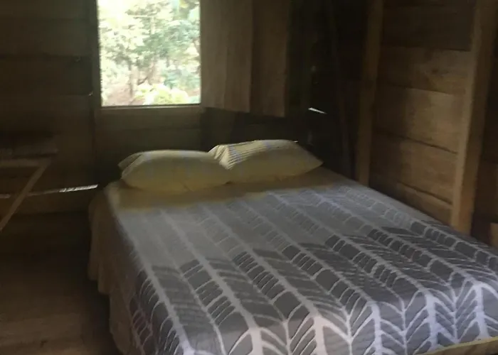 Avellanas Hotel 2*