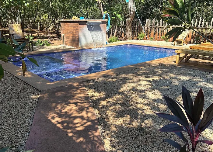 Avellanas