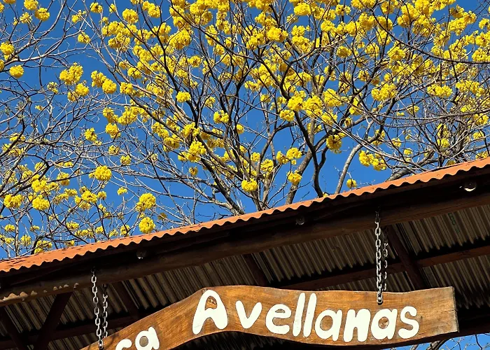 Avellanas Pinilla