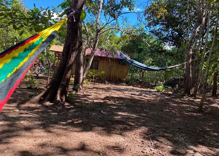 Hotel Avellanas 2*